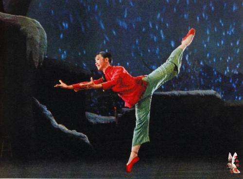 买个明尼苏达州驾照
